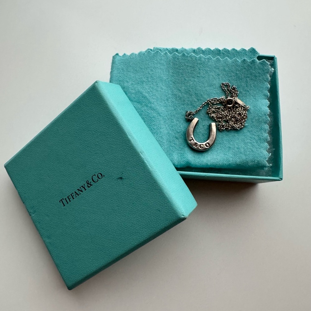 Tiffany & Co. Silver Horseshoe Pendant Necklace